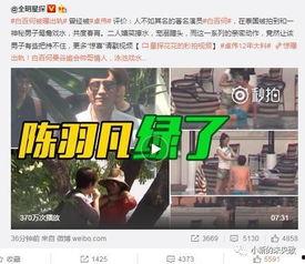 卓伟白百何最新爆料视频,白百何婚姻疑云再起，真相究竟如何？